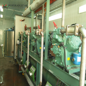 کمپرسور بیتزر